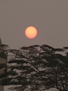 Sun rises behind the trees @http://agileopedia.com/