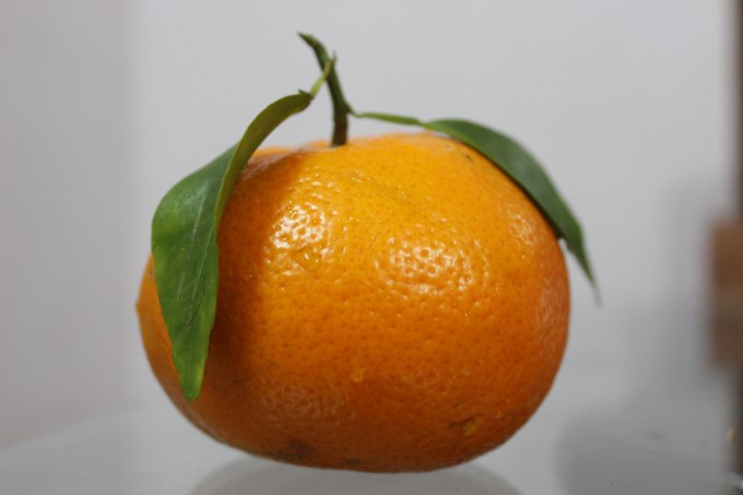 Oranges
