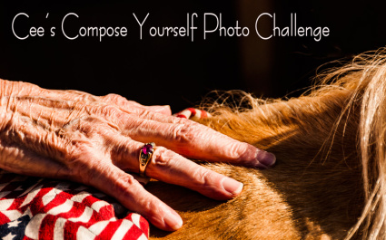 banner-compose-yourself-challenge